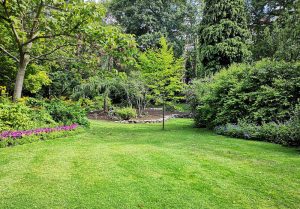Optimiser l'expérience du jardin à Godoncourt